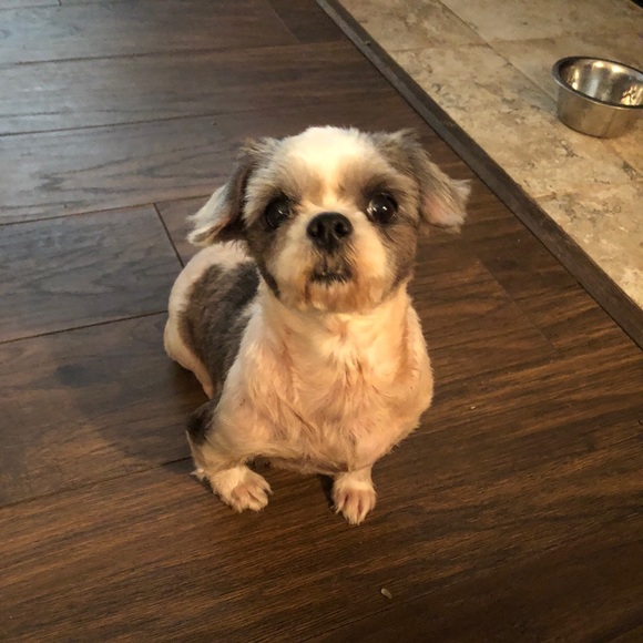 Meet your Posher, Terri - Picture 1 of 1